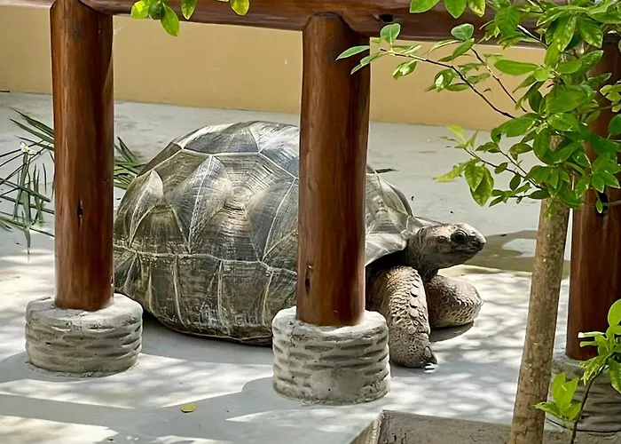 Aparthotel Tropical Hideaway